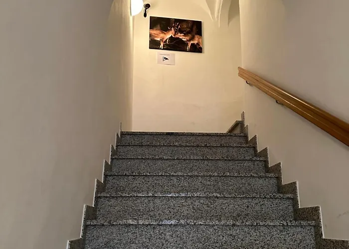 Im Zentrum Apartament *